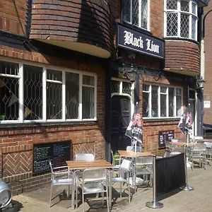 Hotel Black Lion